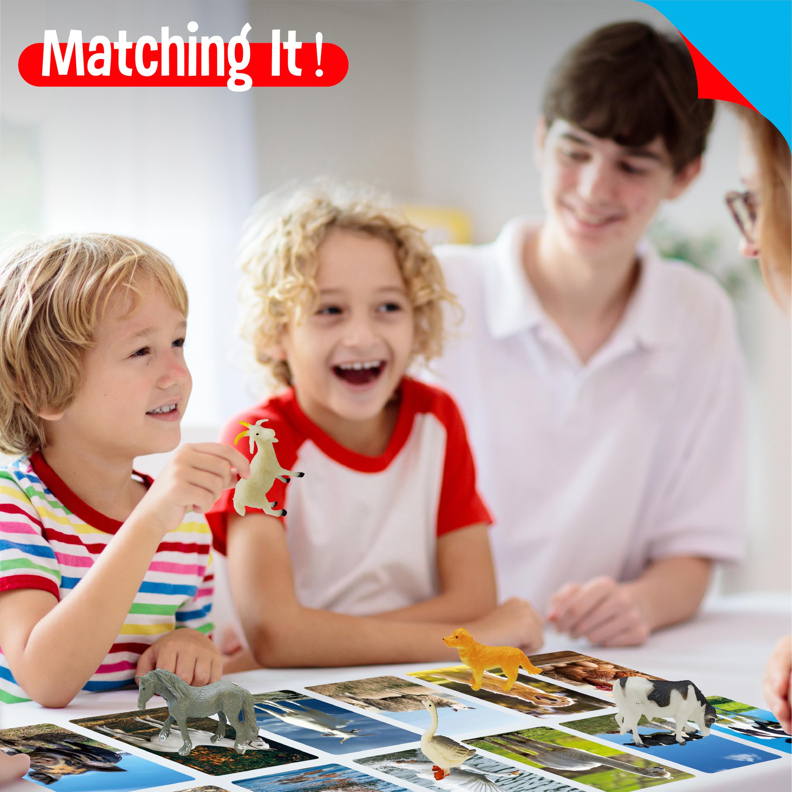 SpriteGru farm figurines hen for classroom-style classification and sequencing activities.