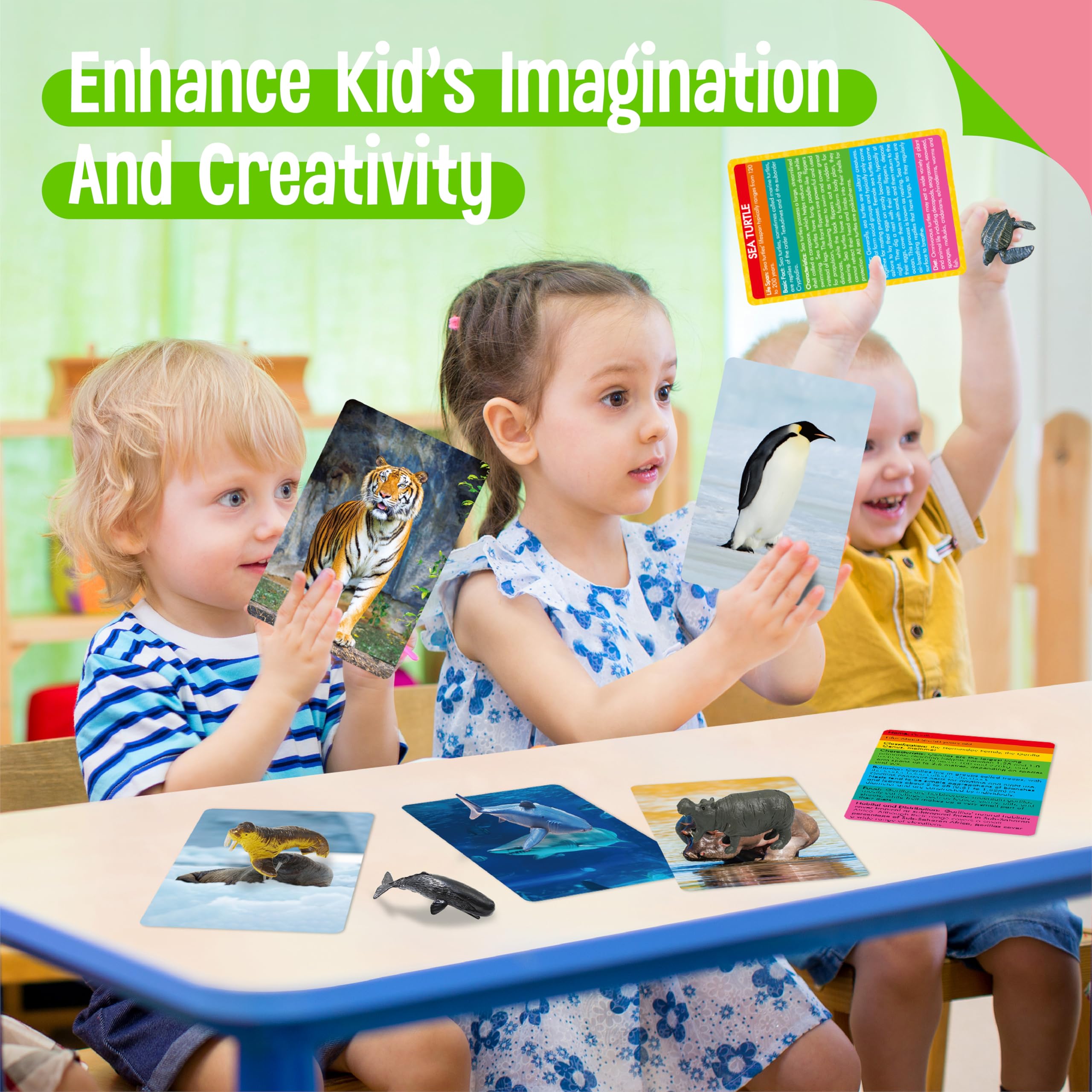 SpriteGru flashcards bundle shows vivid images and quick facts for early learners.