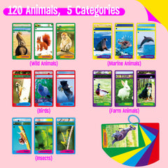 SpriteGru flashcards measure 4x6 inches for small hands and travel
