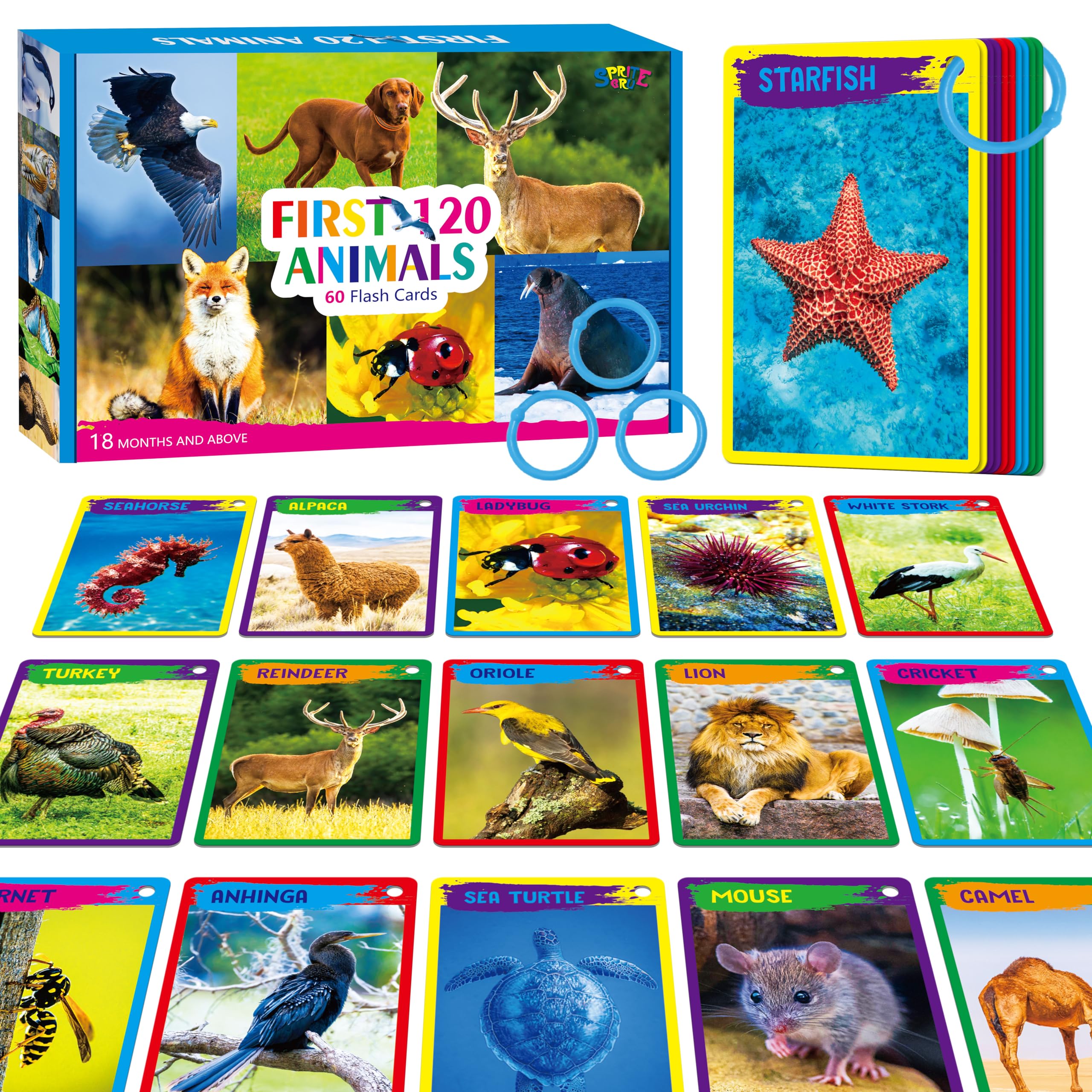 SpriteGru My First 120 Animals flashcards cover with colorful illustrations for quick recognition