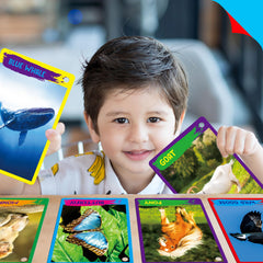 SpriteGru ideal for on-the-go learning and classroom activities