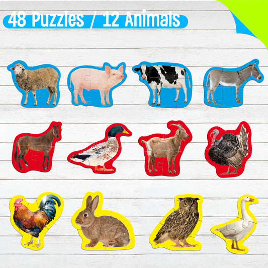 SpriteGru step-by-step color-coded puzzles illustrate gradual skill building