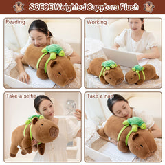 SQEQE gift-ready capybara plush perfect for birthdays or holidays.