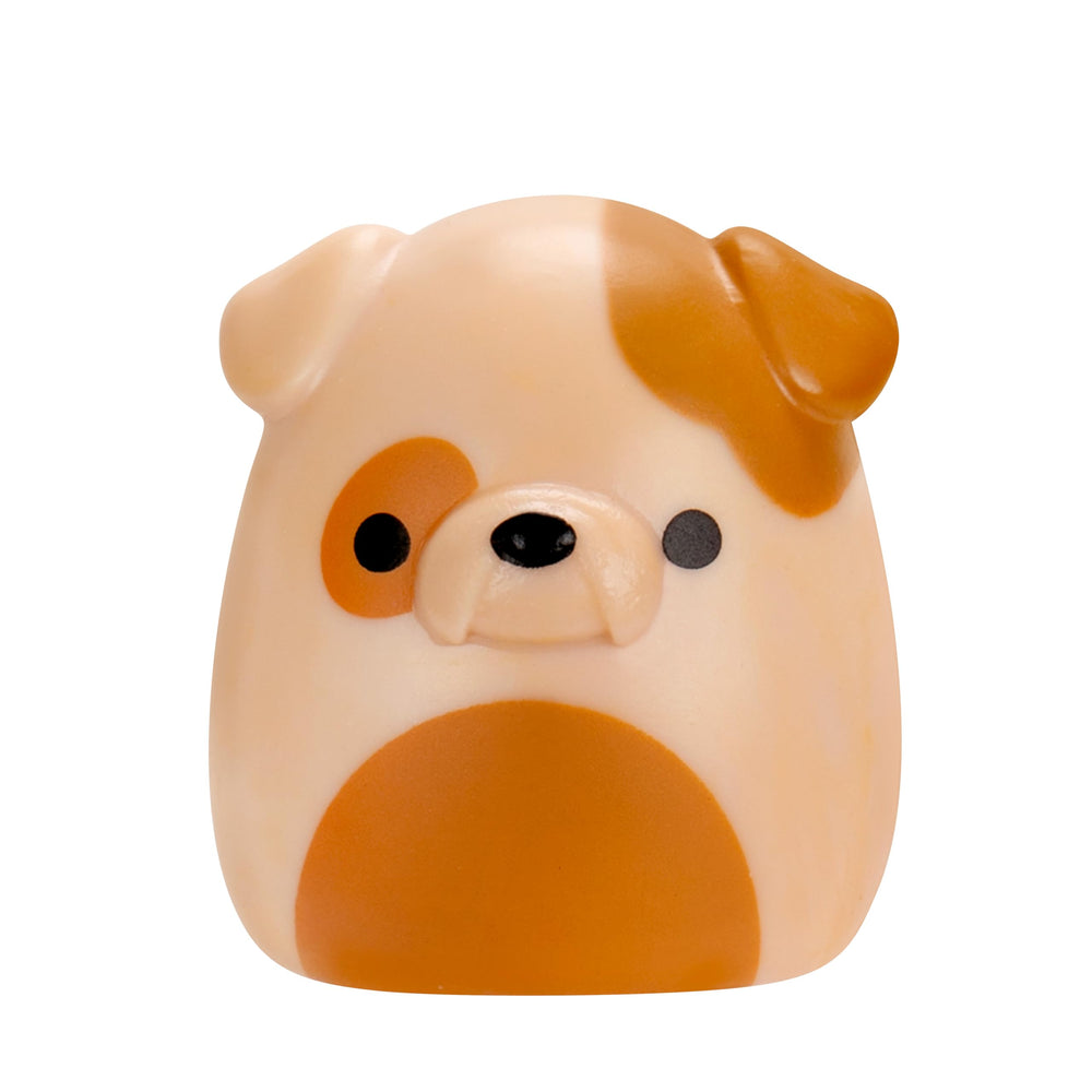 Mystery mini-Squish brings surprise and collectibility.