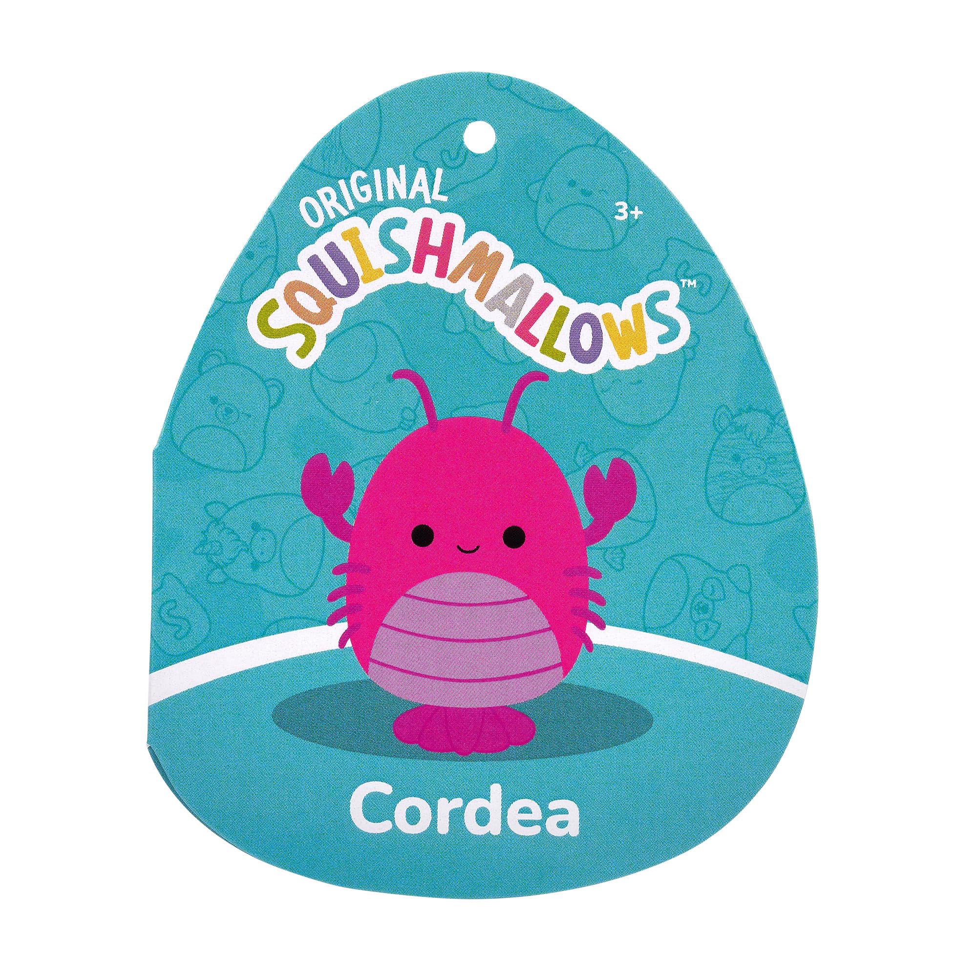 Cordea squad pose showing friendly, approachable design