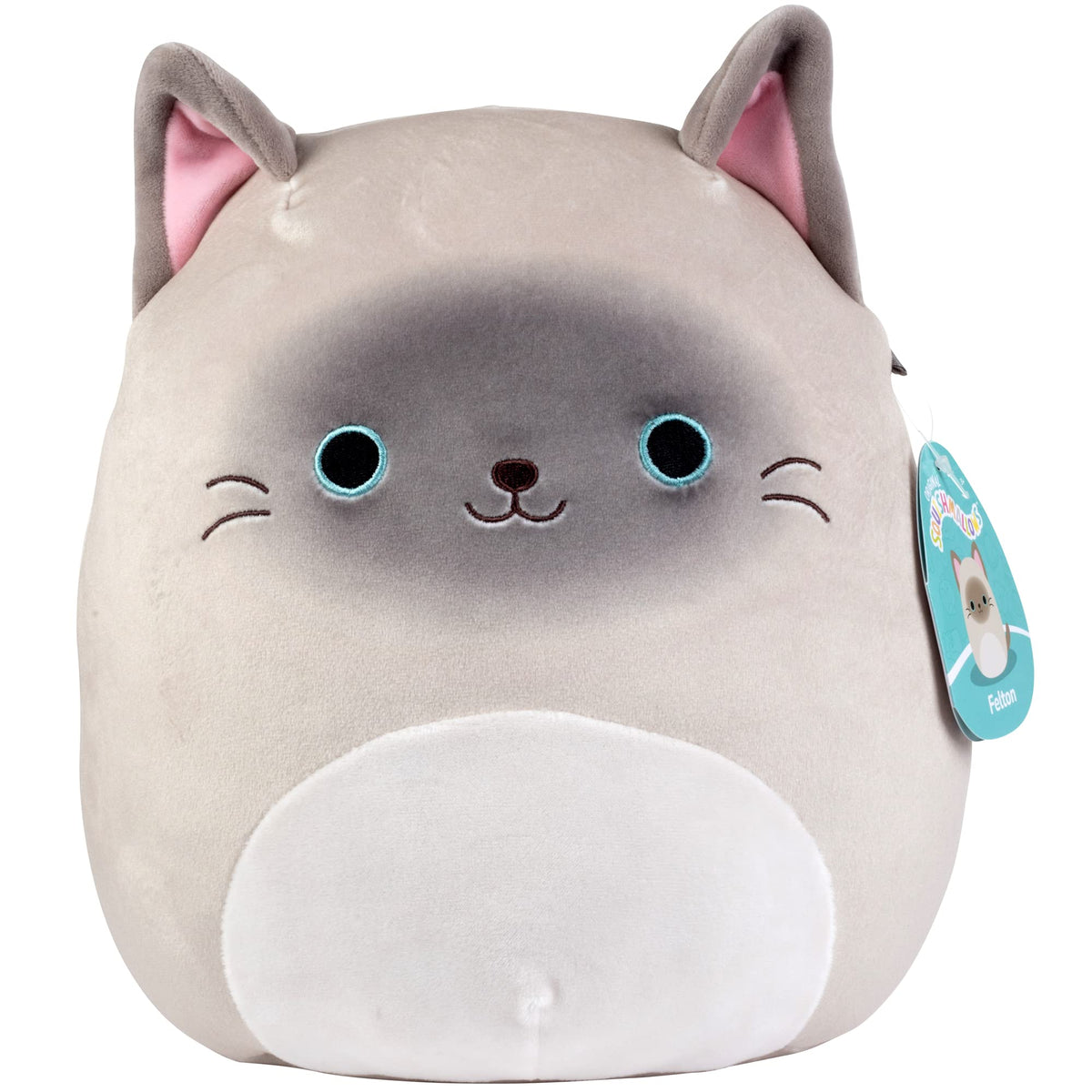 Squishmallows Felton the Siamese Cat plush closeup for cozy cuddles.