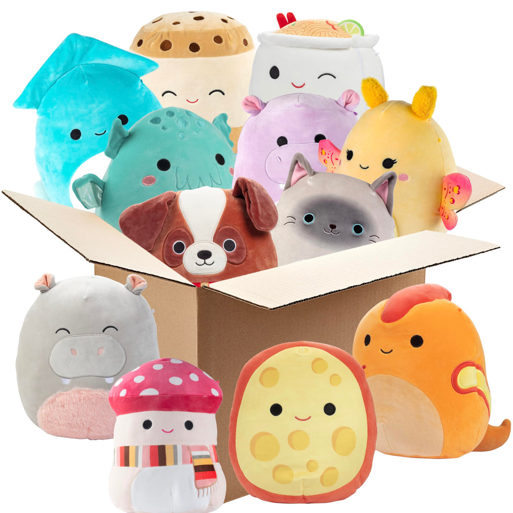 Squishmallows Mystery Pack 10-inch front view for cozy cuddles on the go.