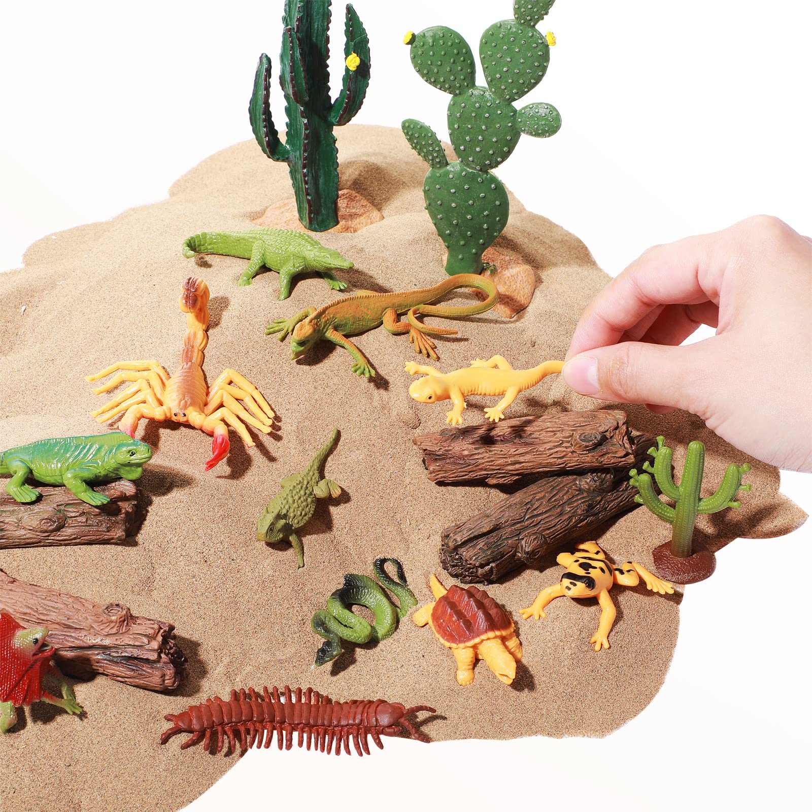 Sratte scorpion figurine as part of the desert diorama kit