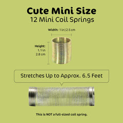 Srenta kids party favors coil spring for creative play.