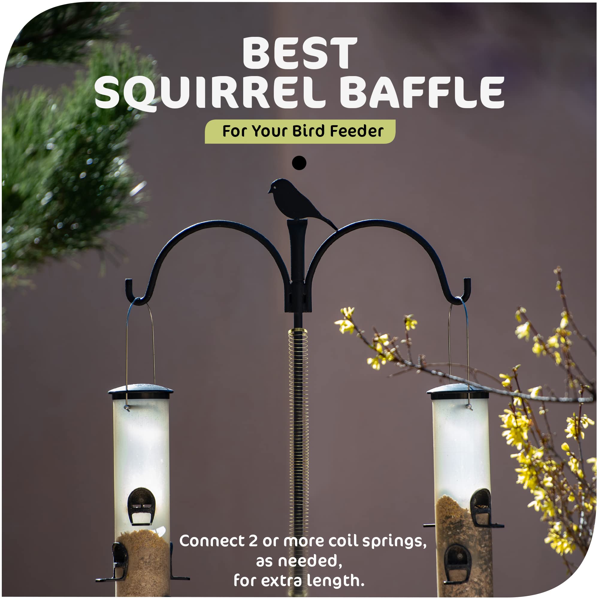Srenta multi-pack springs ideal for gifting and rewards.