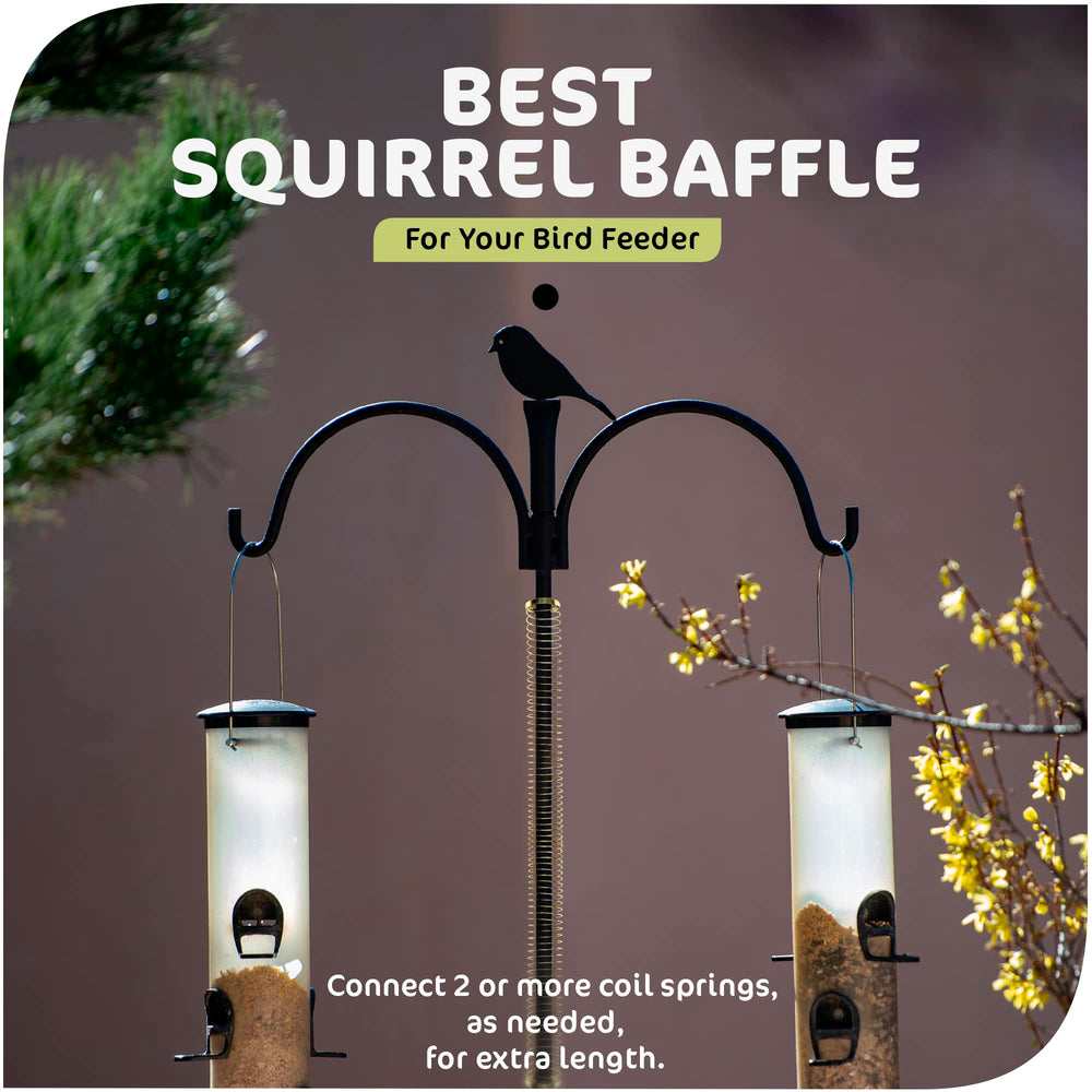 Srenta multi-pack springs ideal for gifting and rewards.
