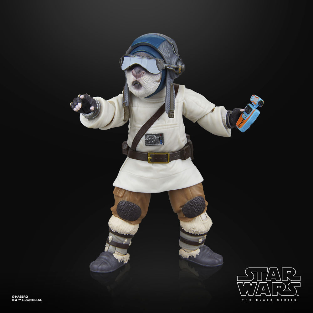 Bazil figure helping to build a cohesive Acolyte collection