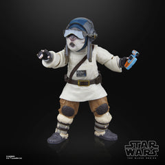 Bazil figure helping to build a cohesive Acolyte collection