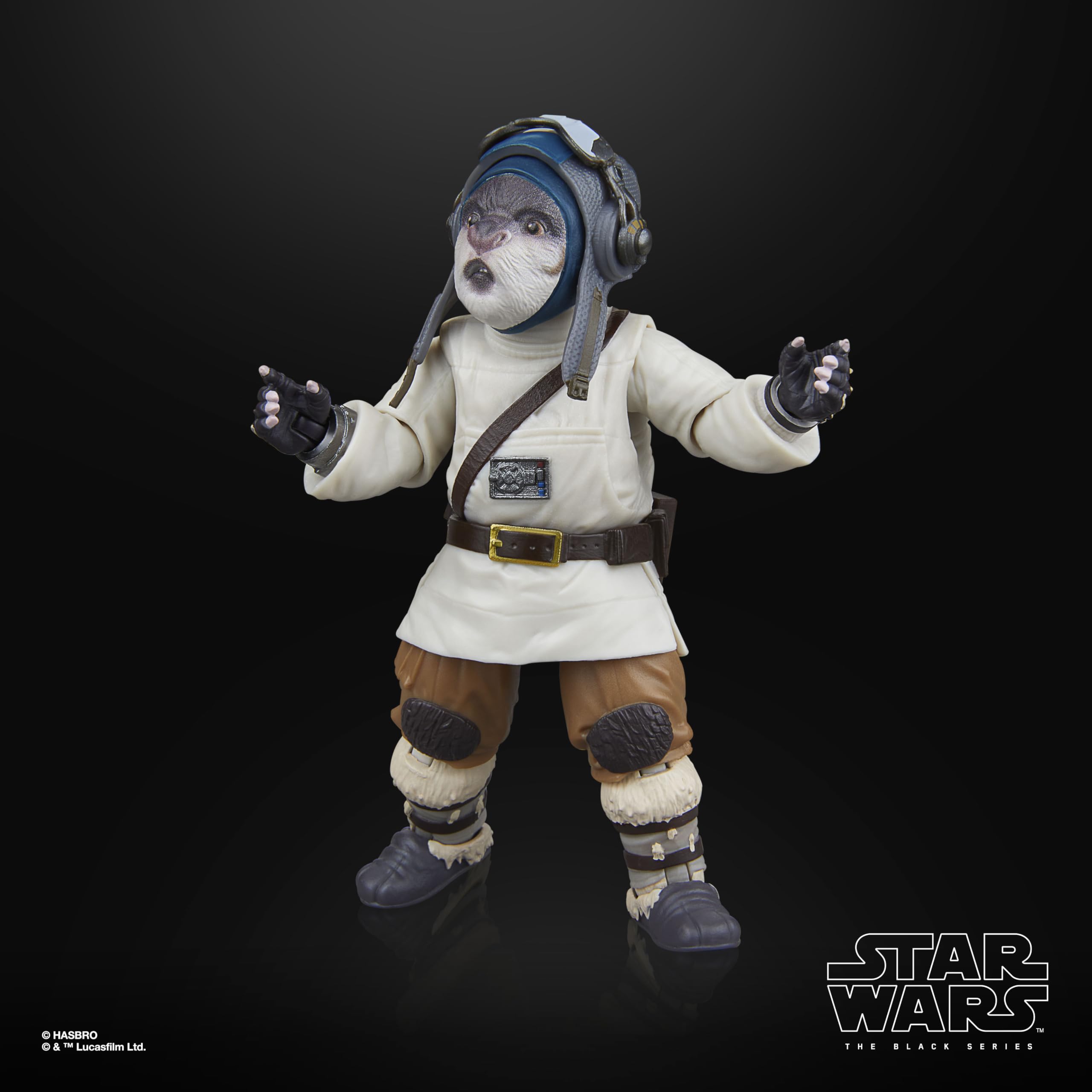 Roleplay items for Bazil within The Black Series universe