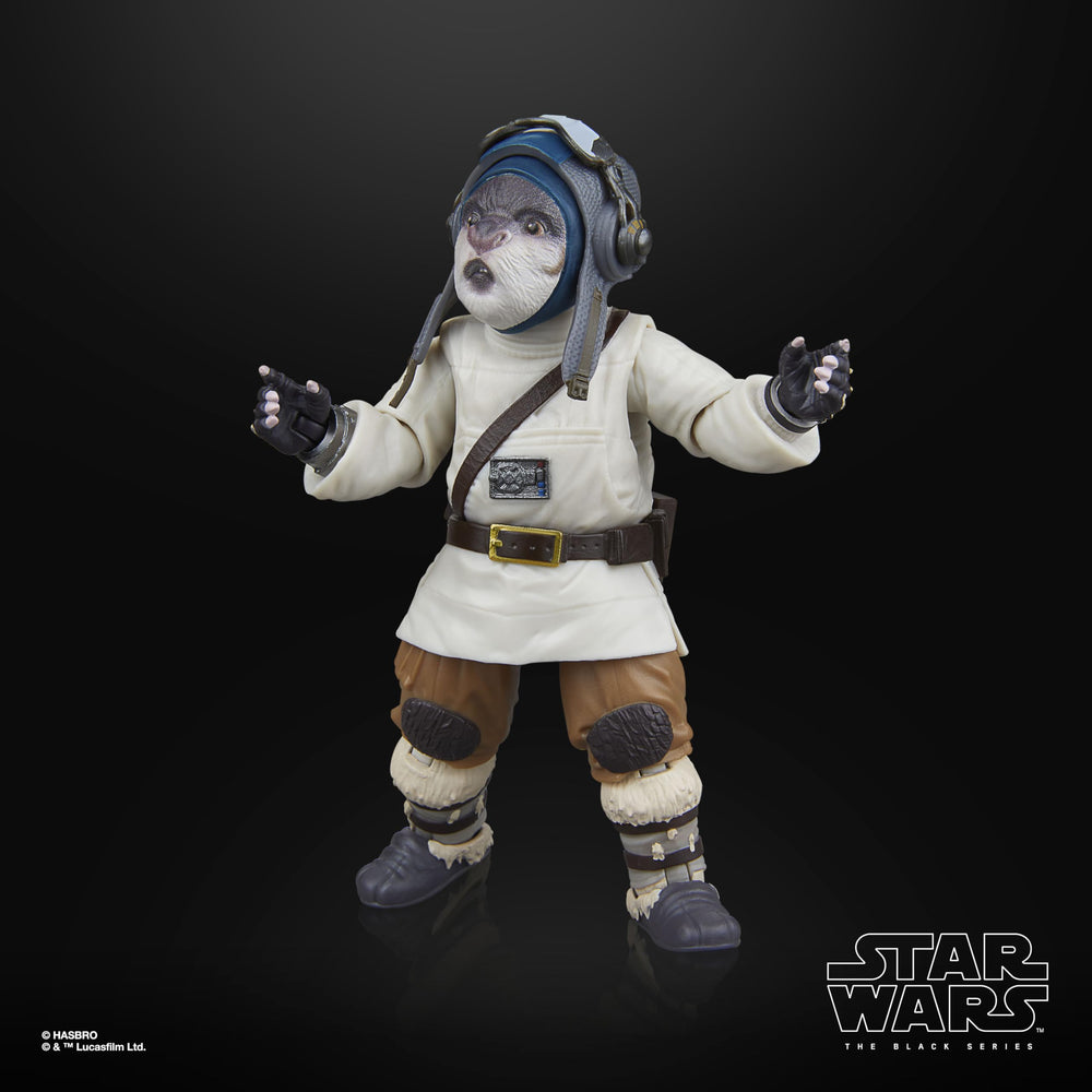 Roleplay items for Bazil within The Black Series universe
