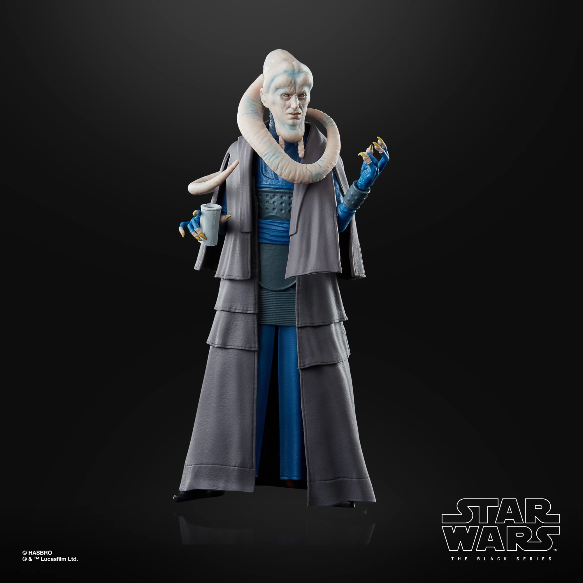 Packaging artwork for Bib Fortuna display and gifting.