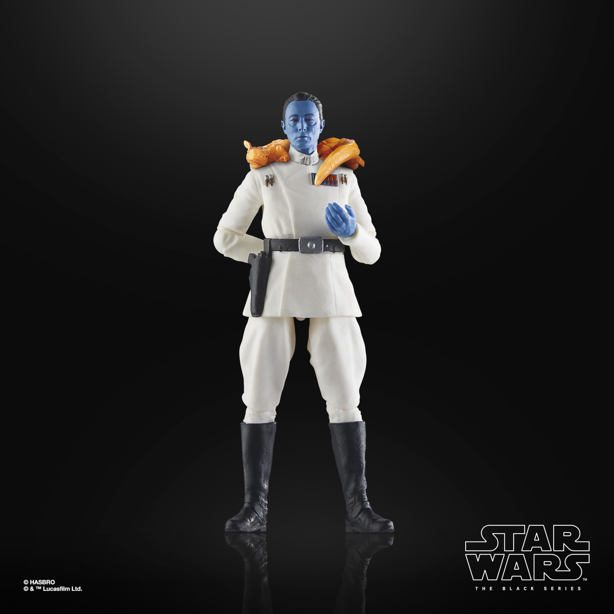 STAR WARS Black Series individual cardbacks perfect for shelf organization