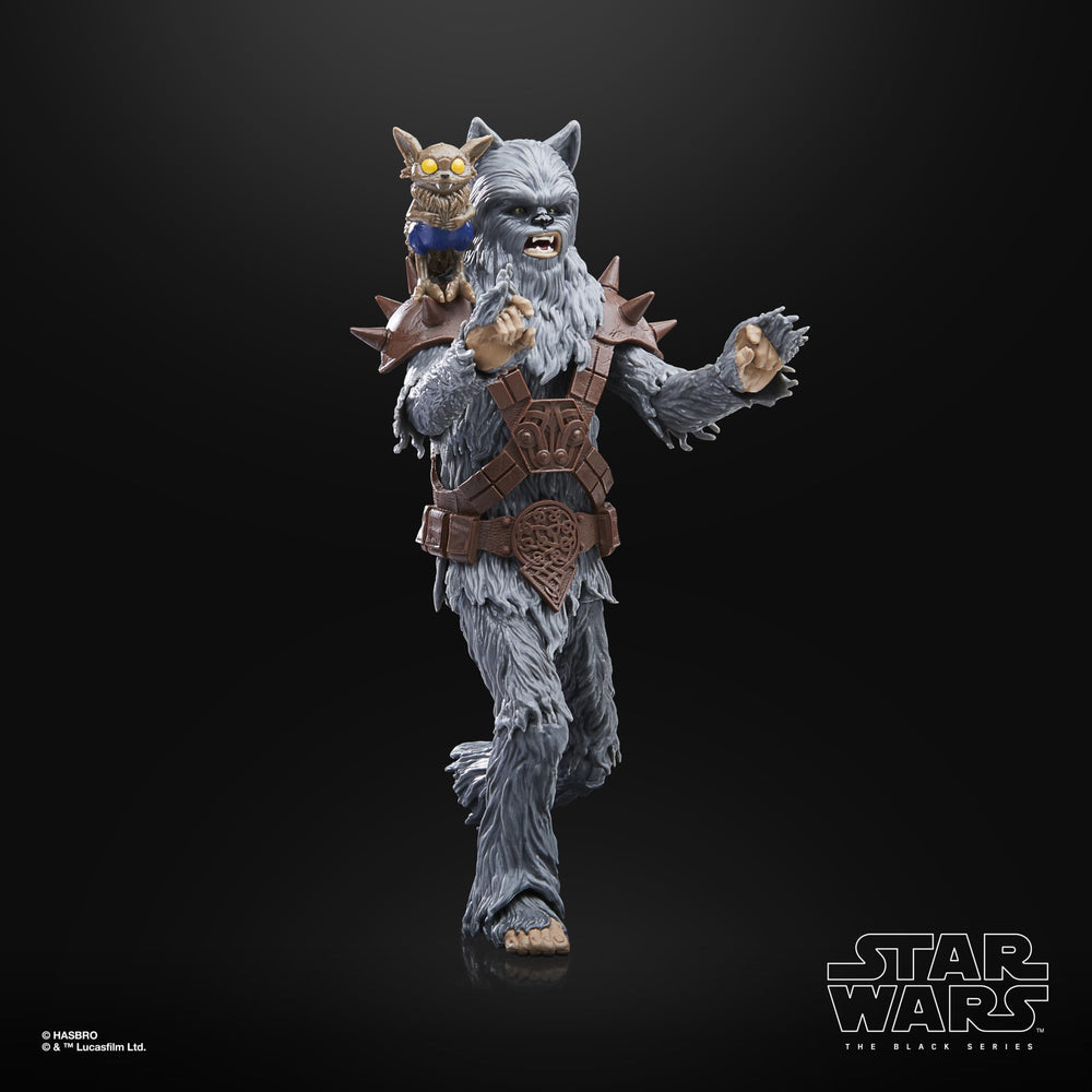 STAR WARS Black Series Wookiee Halloween Edition deco emphasizes festive vibe without overpowering the figure.