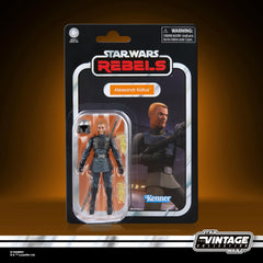 Alexsandr Kallus figure includes four accessories for poseable display