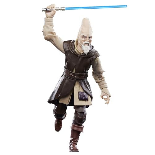 Ki-Adi-Mundi articulation close-up highlighting poseability.