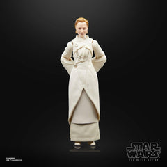 Star Wars Mon Mothma action figure from Andor line inspires imaginative play and display.