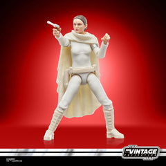 STAR WARS Padmé Amidala from Episode II to expand your collection.