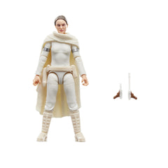 STAR WARS Padmé Amidala figure front view for display and deco.