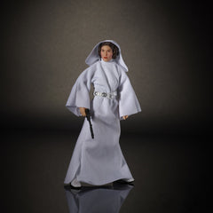 Star Wars Princess Leia 6-inch figure articulation detail for dynamic stances