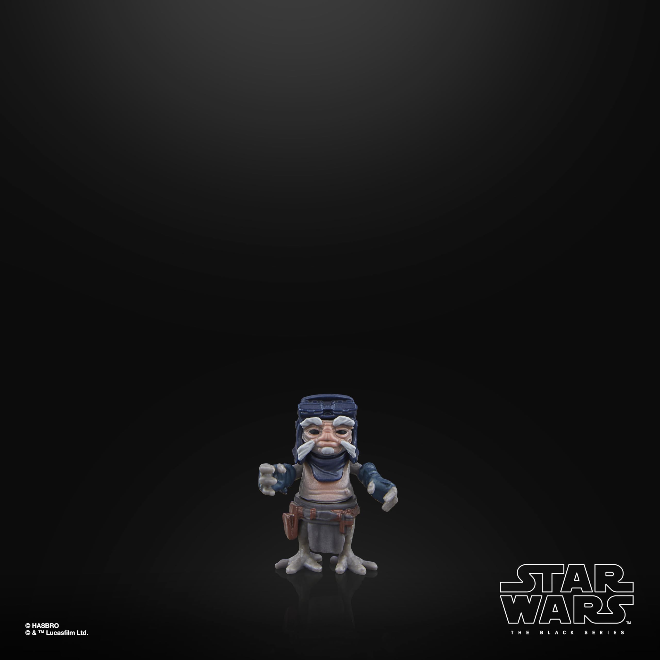 STAR WARS The Black Series detailed sculpt and paint deliver a faithful look.