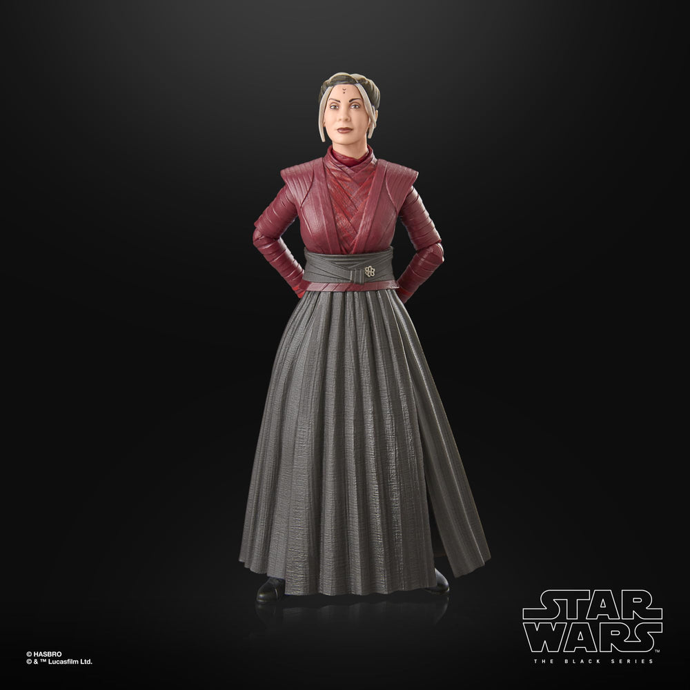 Display-ready figures from The Black Series inspire shelf-worthy setups.