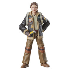 Star Wars The Black Series Fern figure with other Black Series figures for shelf integration