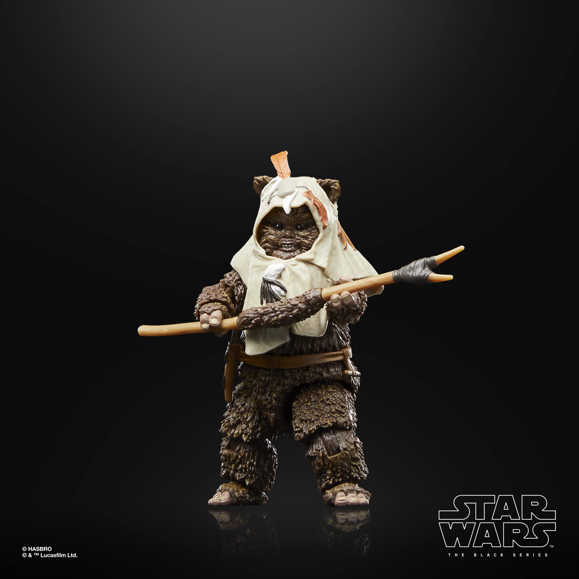 STAR WARS The Black Series Paploo figure packaging 40th anniversary highlight.