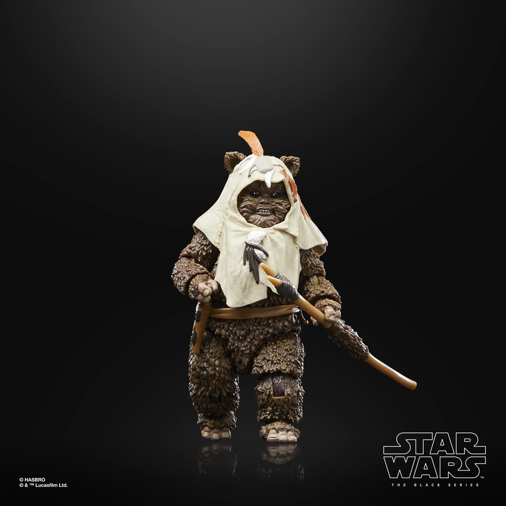STAR WARS The Black Series Paploo figure premium deco enhances display quality.