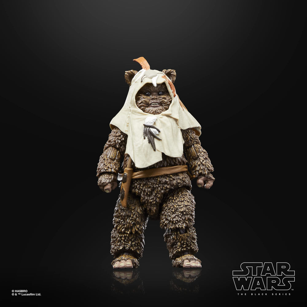 STAR WARS The Black Series Paploo figure with spear accessory for authentic display.