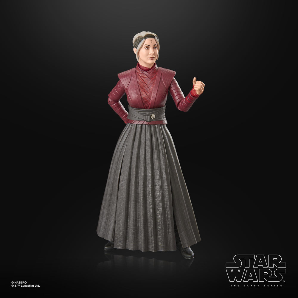 Premium deco highlights authentic Star Wars styling for collectors.
