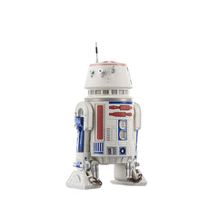 Star Wars The Black Series R5-D4 figure with articulation for dynamic posing.