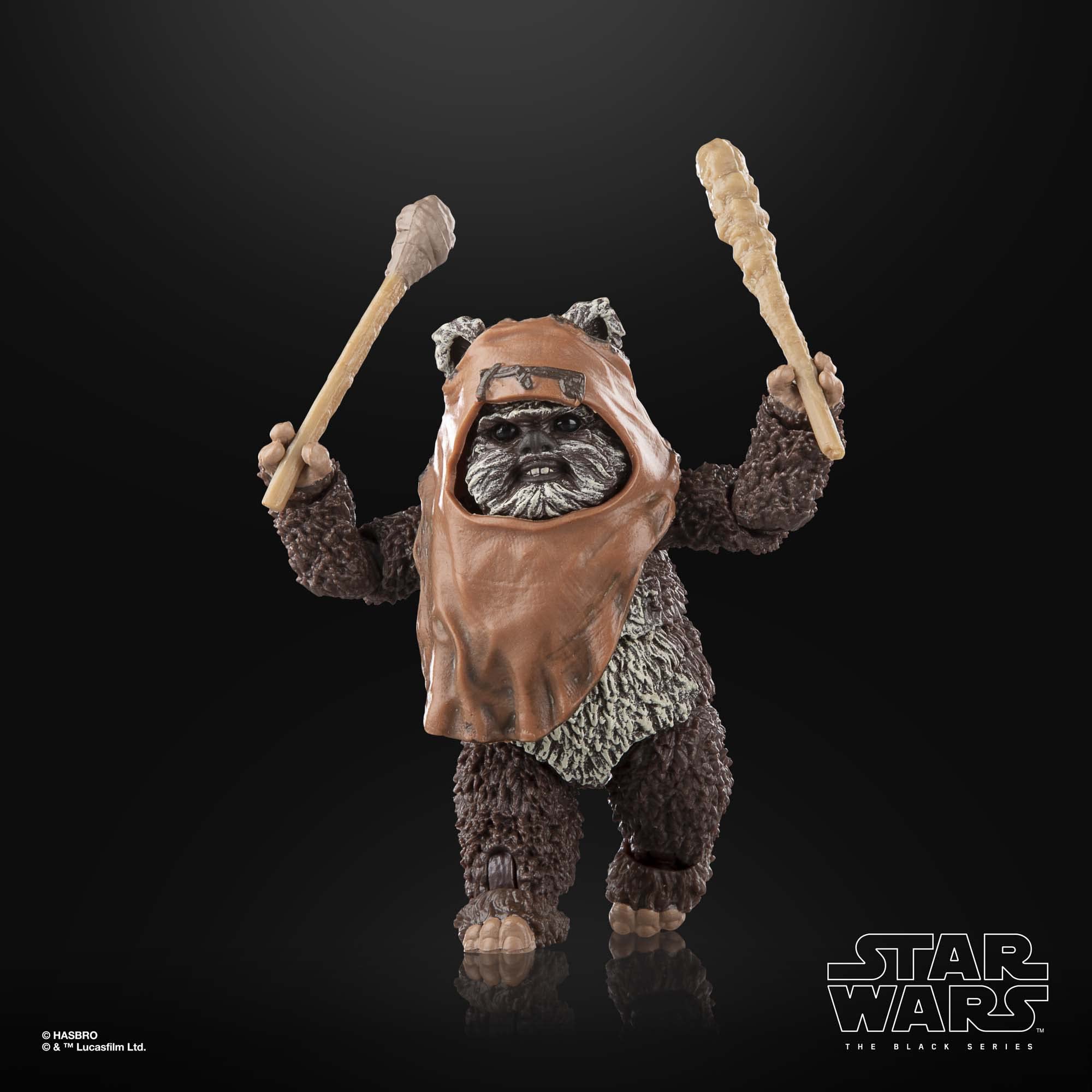 STAR WARS The Black Series Wicket W. Warrick 6-inch scale fits dioramas.