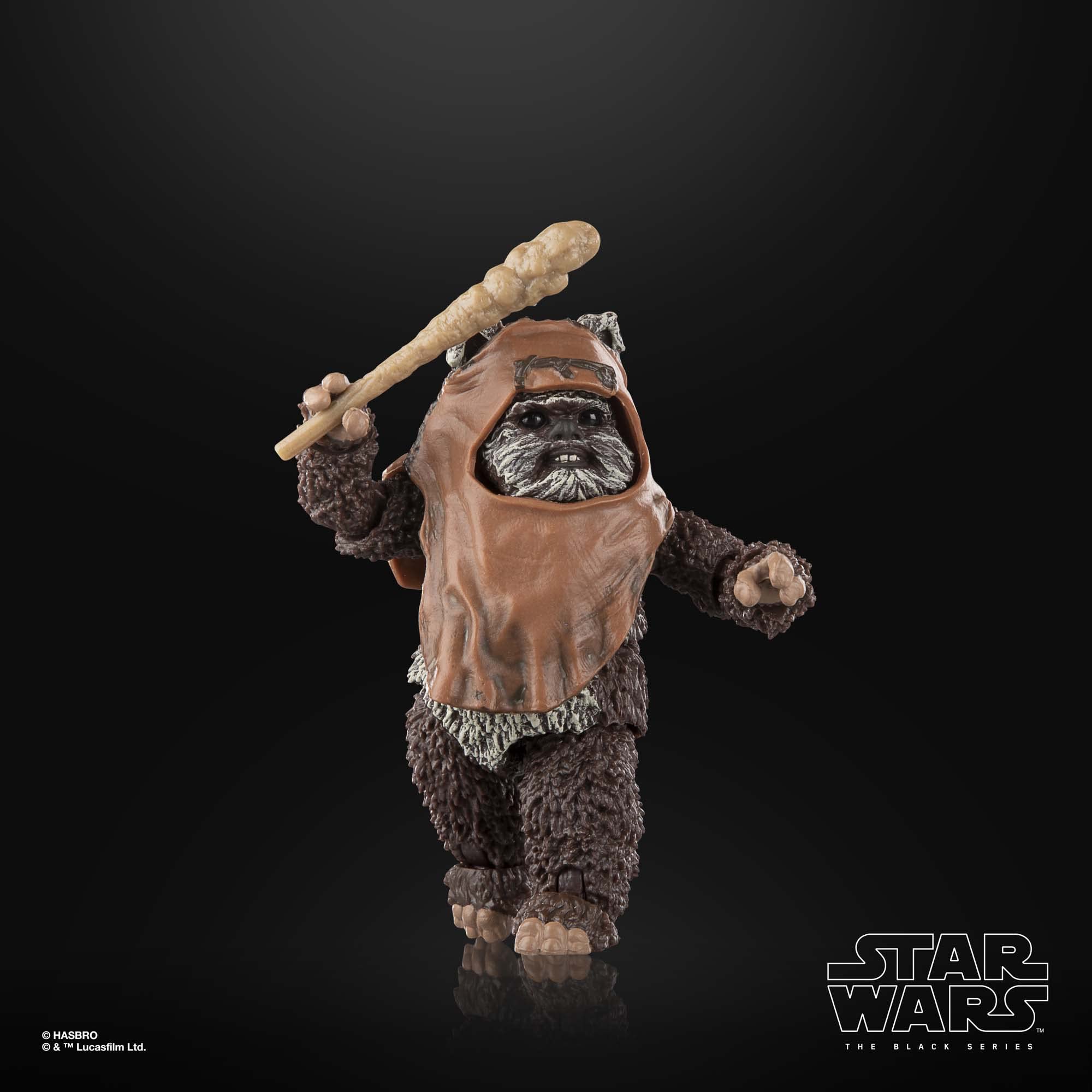 STAR WARS The Black Series Wicket W. Warrick Endor-inspired detailing.