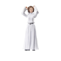 STAR WARS Princess Leia Organa cardback packaging inspired by Kenner era.