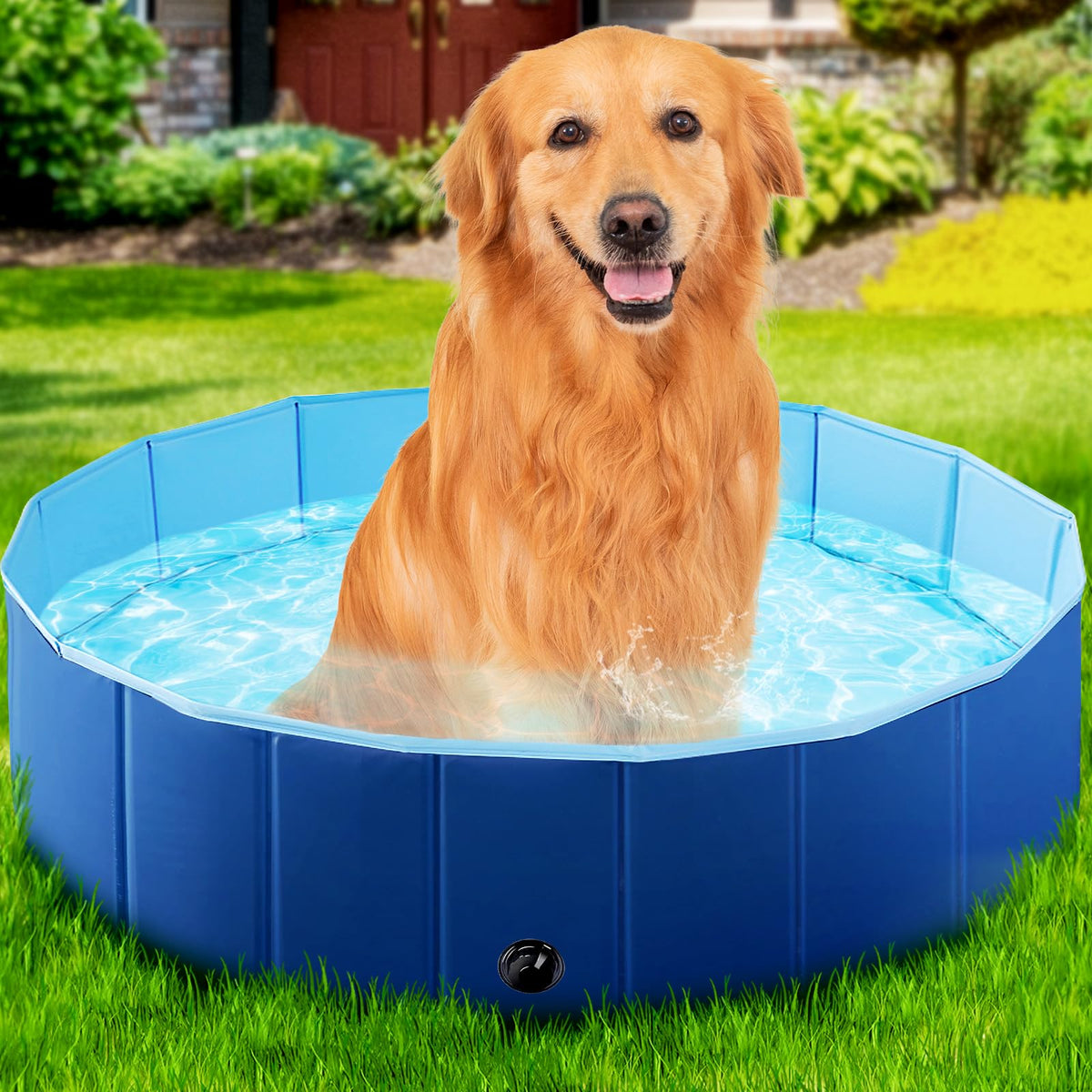 StarOcean foldable dog pool blue side view, portable design for easy travel and storage.