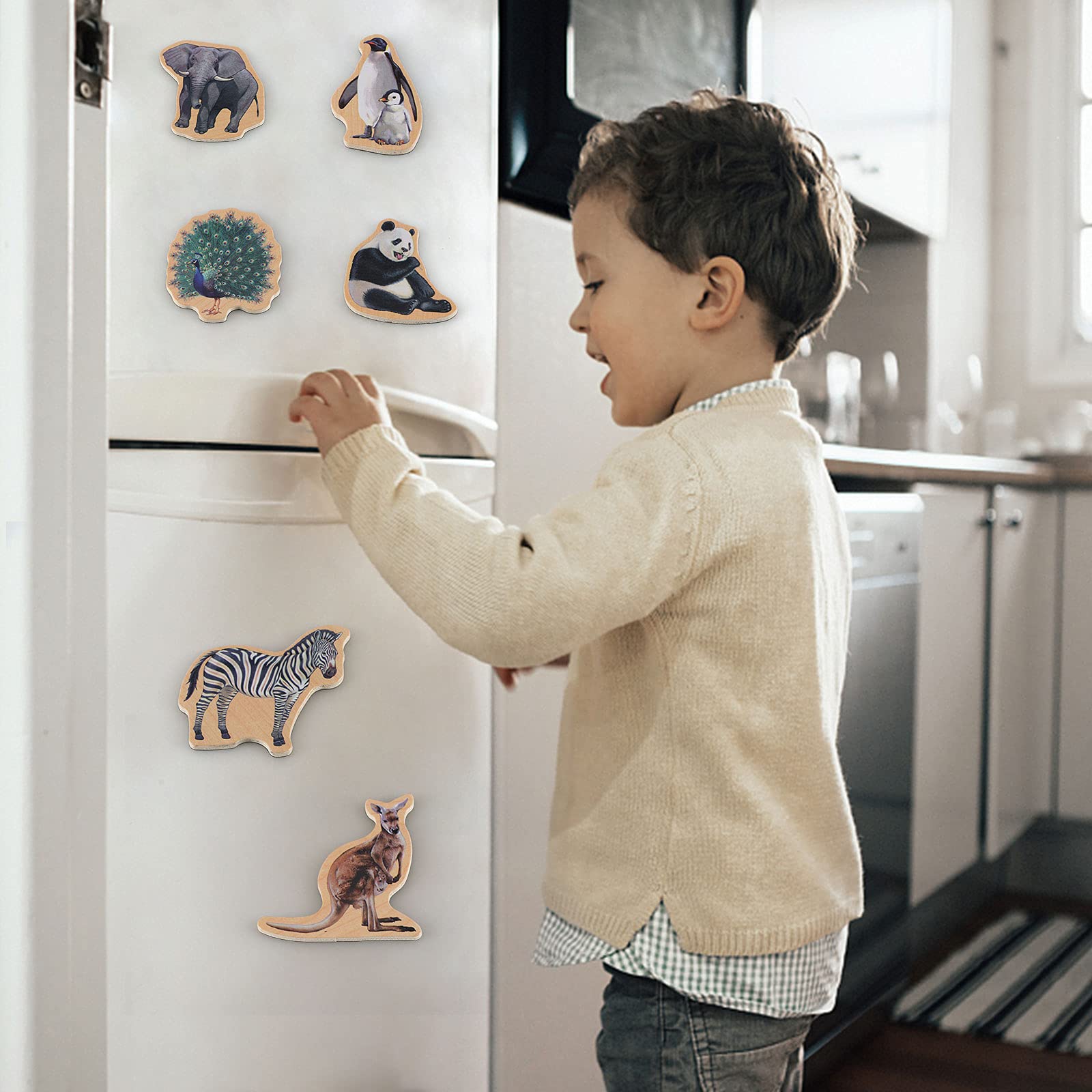 Steventoys fridge magnets for learning shown with alphabet and animal names.