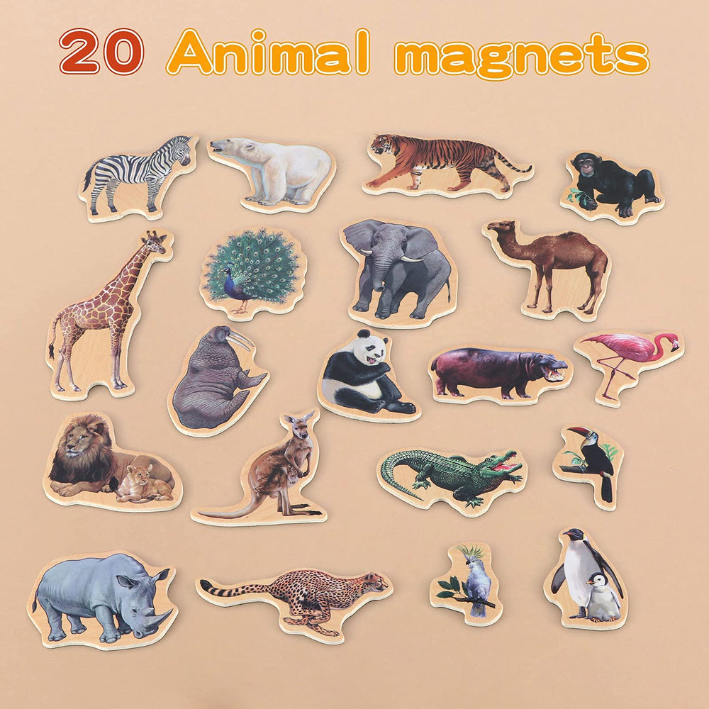 Steventoys wooden toddler magnetic toys arranged for play and exploration.