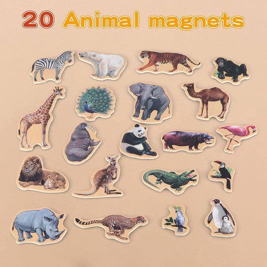 Steventoys wooden toddler magnetic toys arranged for play and exploration.