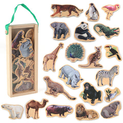 Steventoys Zoo Animal Fridge Magnets in use on a fridge, colorful and engaging.