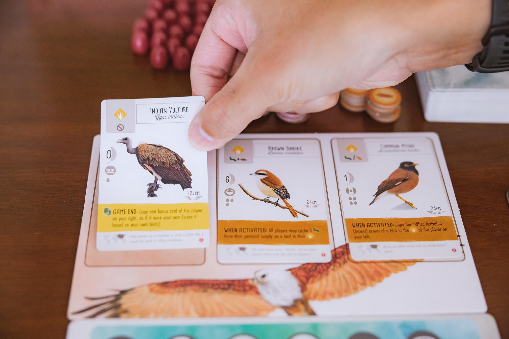 Stonemaier Wingspan Asia dice and tokens for resource tracking