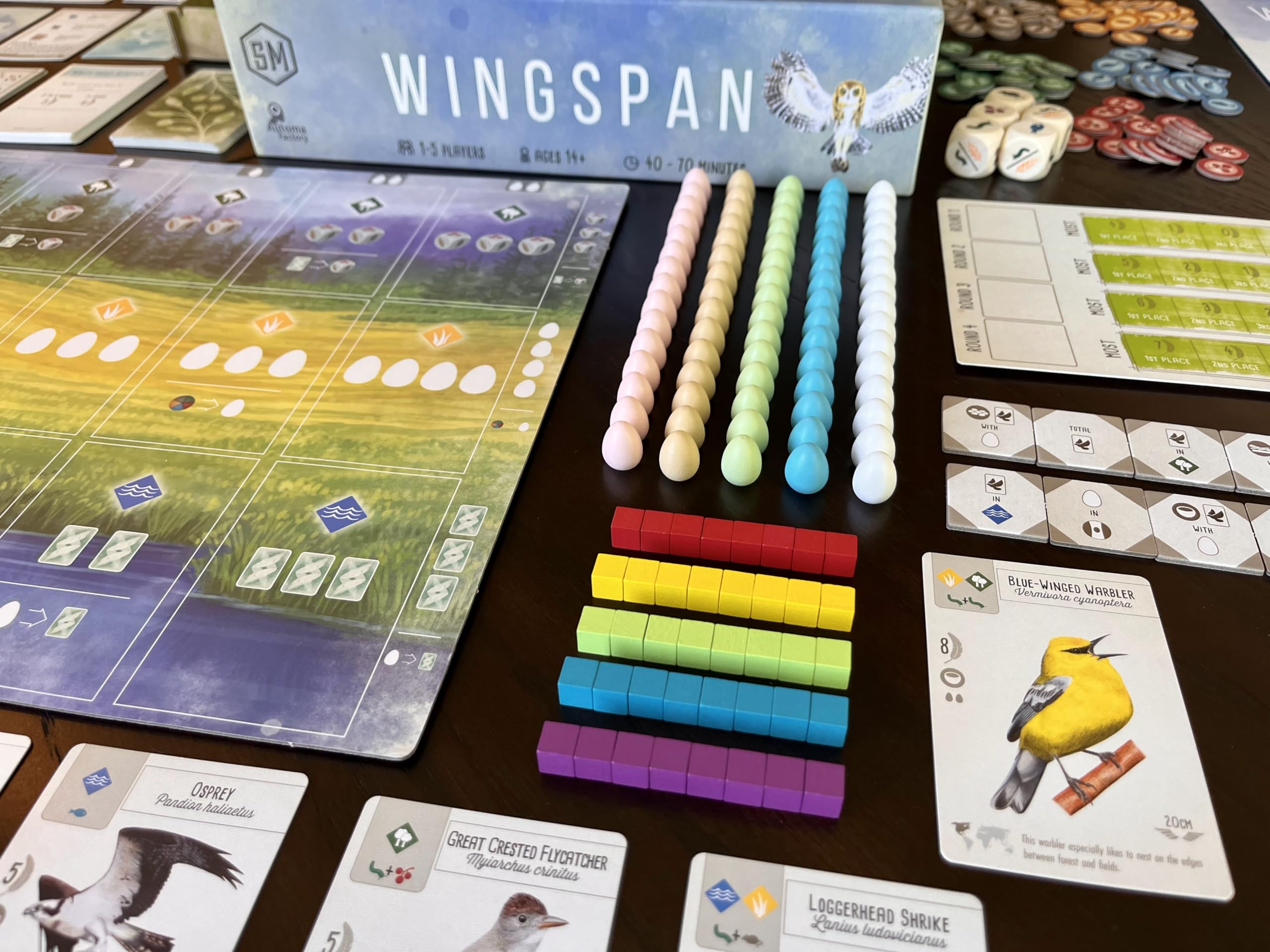 Stonemaier Wingspan box art panorama, striking visuals invite players to start a nature journey.