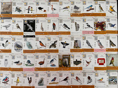 Stonemaier Wingspan Fan Art Pack bird portraits invite immersive table presence