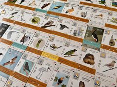 Stonemaier Wingspan Fan Art Pack crochet art brings delicate texture to cards