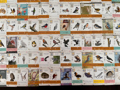 Stonemaier Wingspan Fan Art Pack embroidery art offers tactile charm