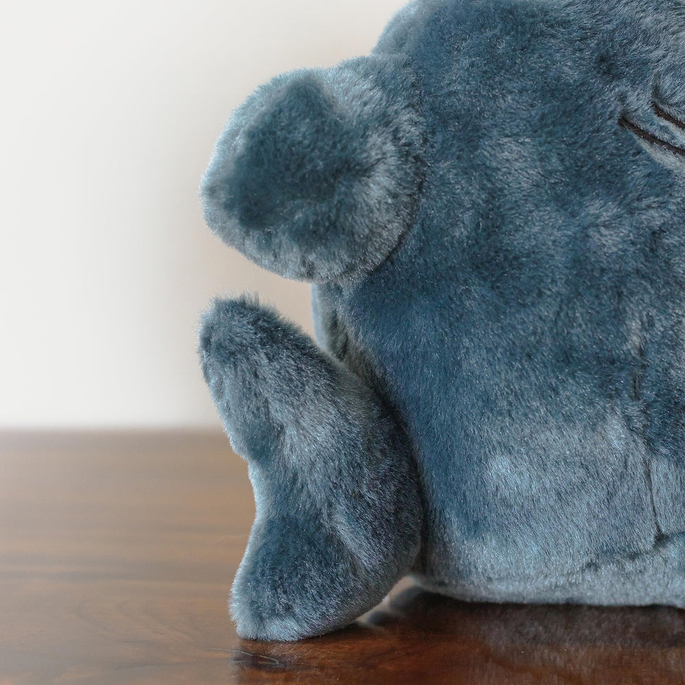 Sunfedmiss gift-ready design makes a charming present for kids and shark lovers.